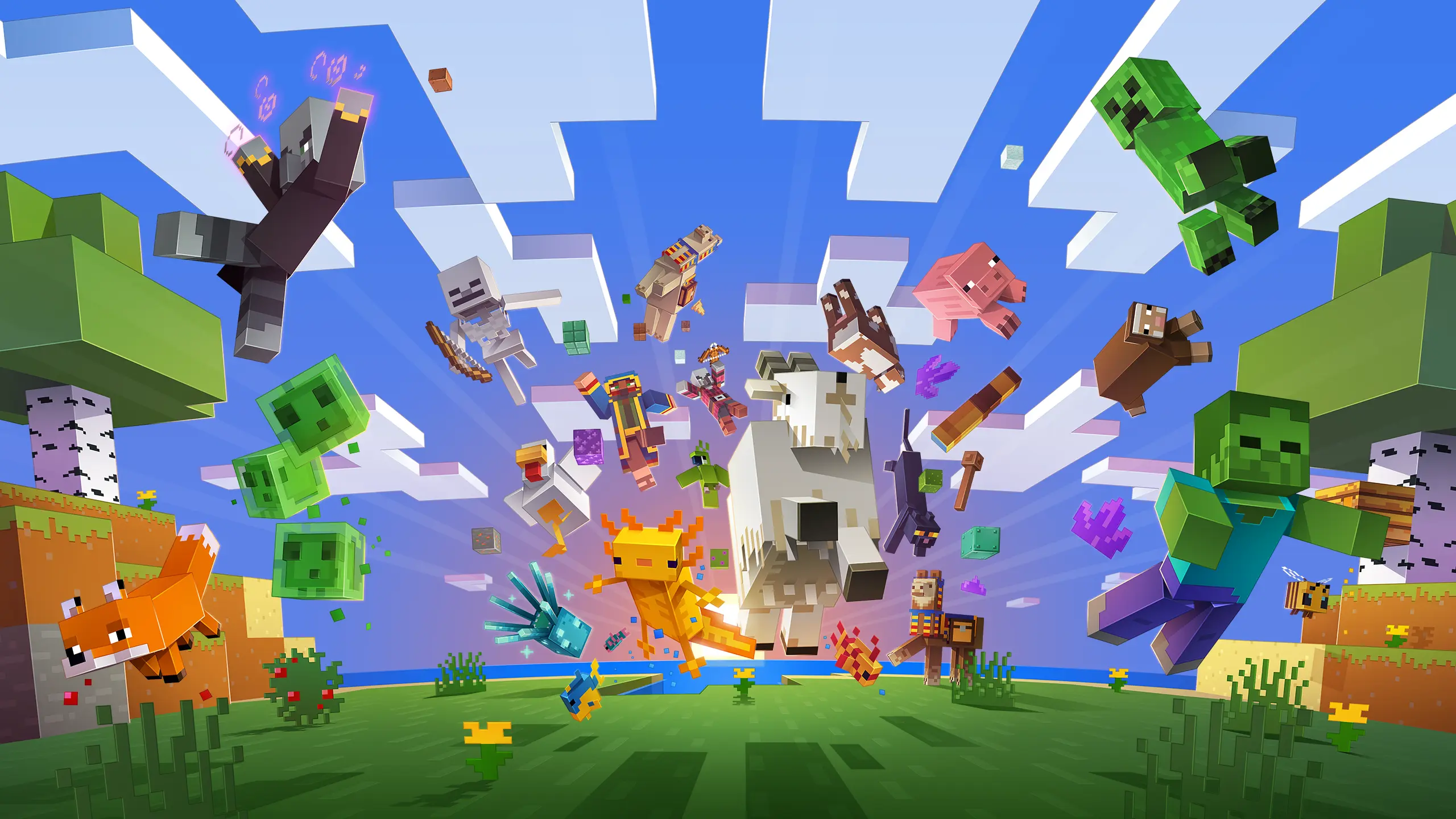 Minecraft Offer